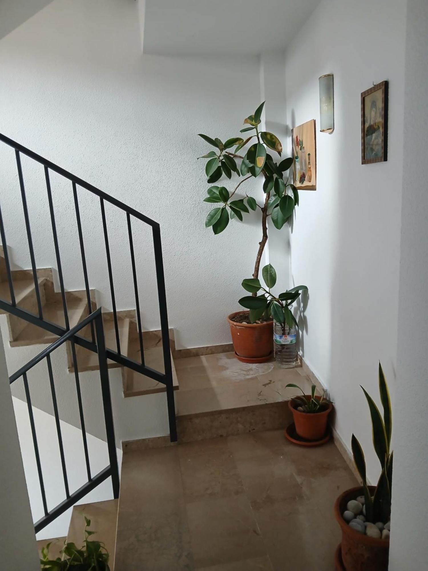 Apartamento Corazon De Jaén Habitación foto